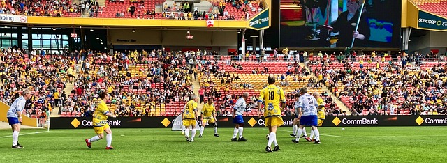 员表现的一 员表现的一