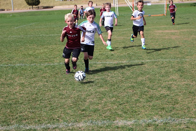 像明星級韓 像明星級韓