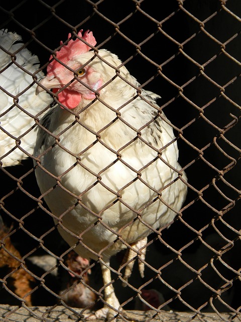 数据与案例 数据与案例